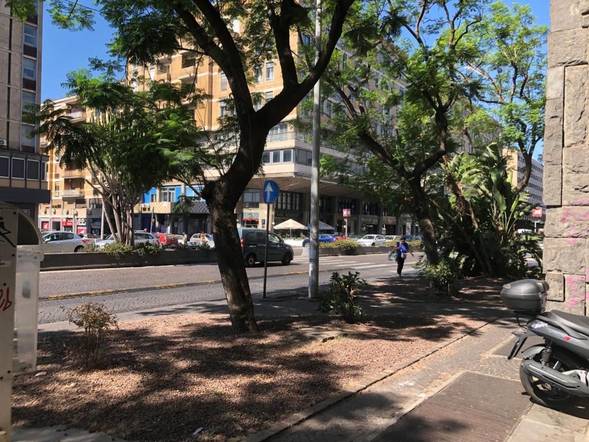 Market View,Centro Daire Katanya Dış mekan fotoğraf